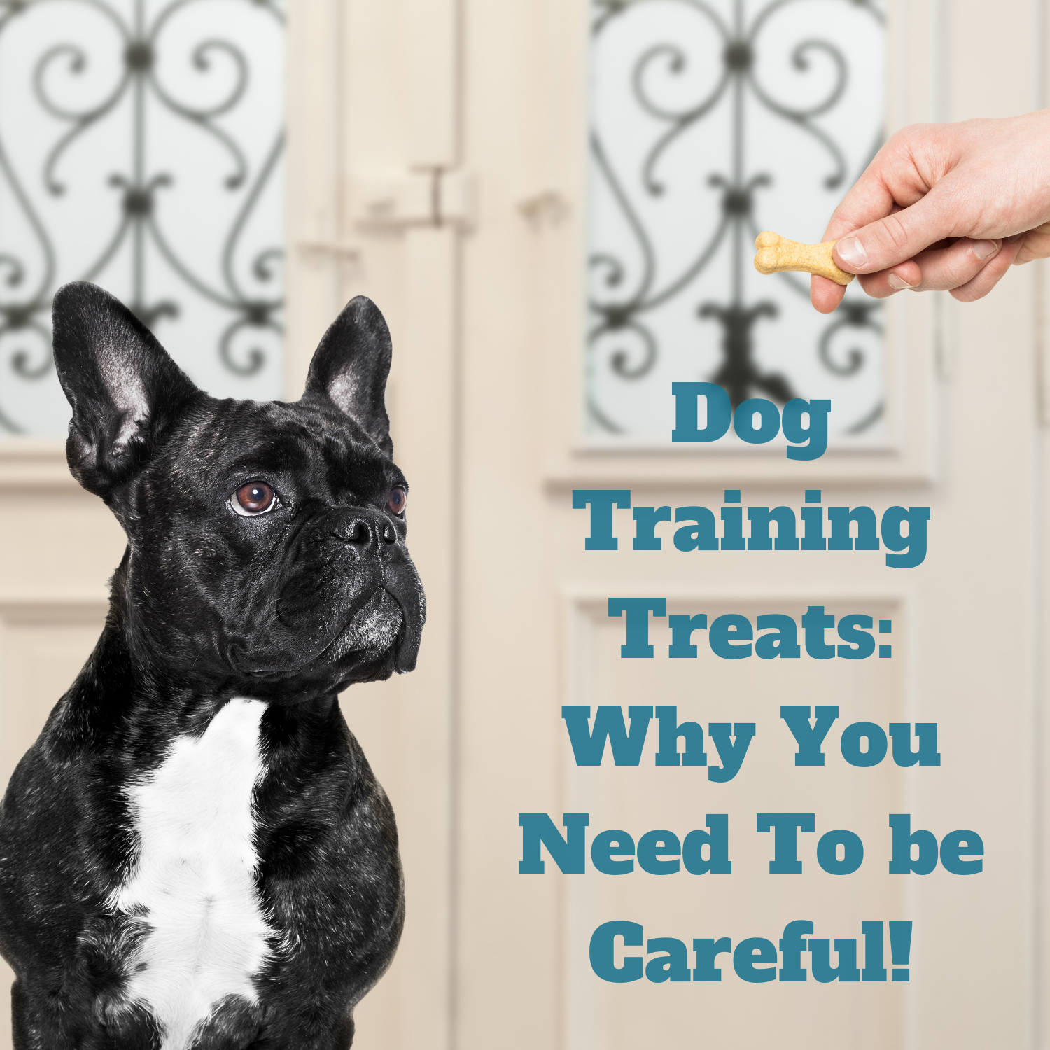 Dog training treats
