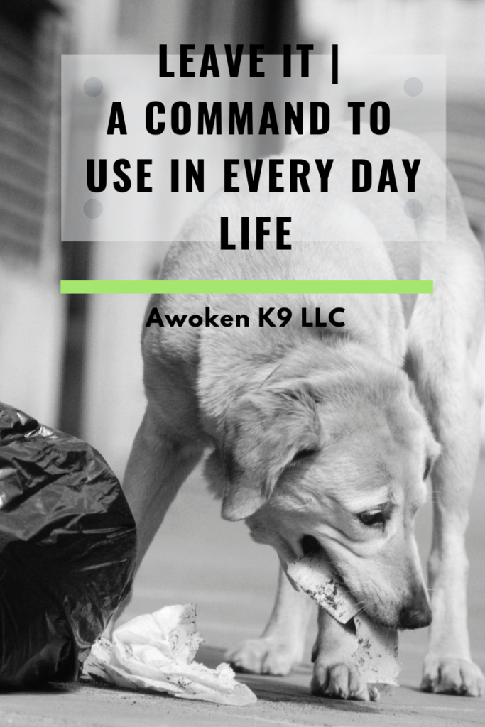 Teaching your dog to Leave it
