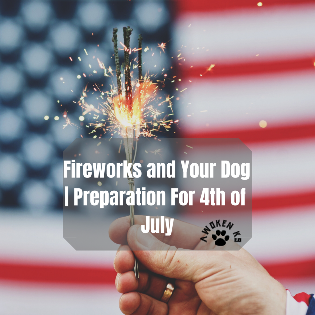 Fireworks and Your Dog | Preparation For 4th of July