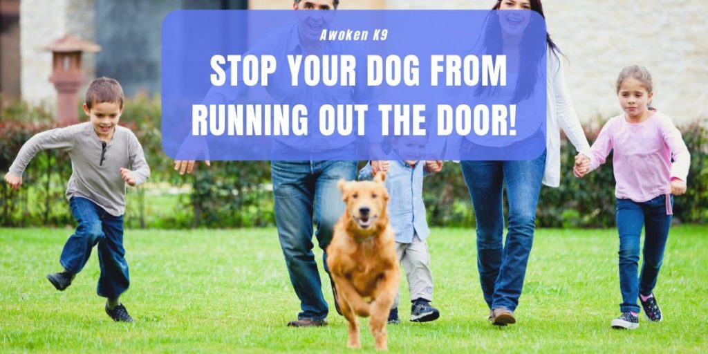 Training Dog Not To Run Out Front Door