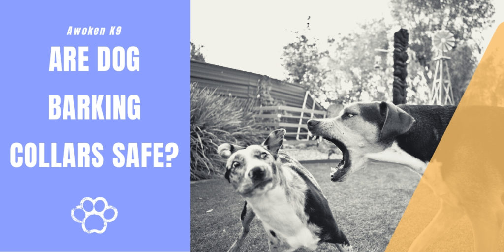 are dog barking collars safe