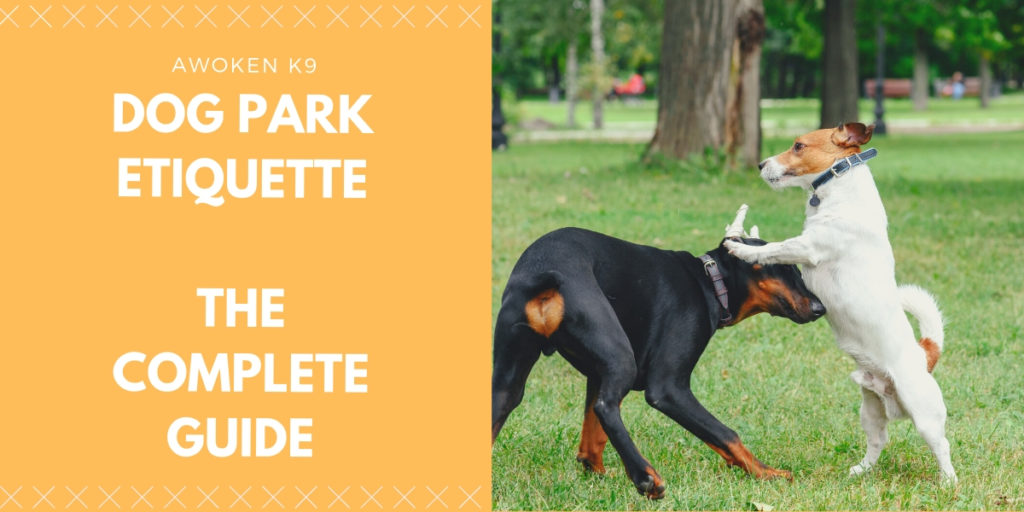 Dog Park etiquette