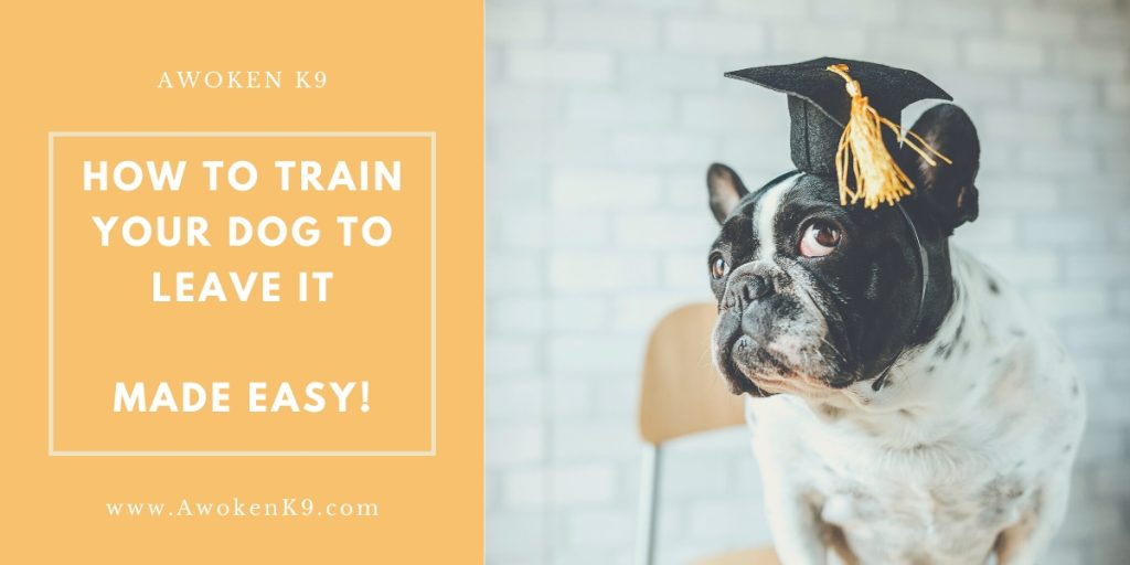 how to train your dog to leave it