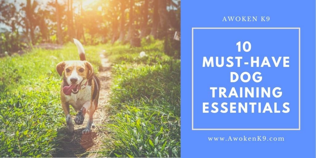 Dog Training Essentials