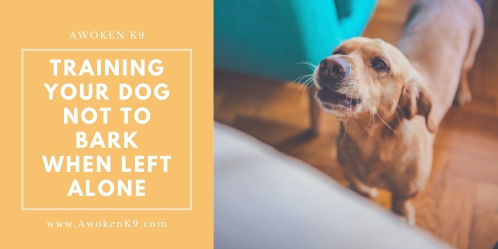 training your dog not to bark when left alone