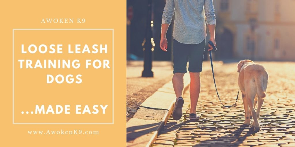 loose leash training for dogs