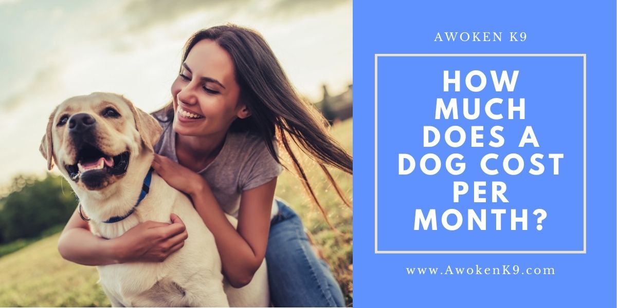 HOW MUCH DOES A DOG COST PER MONTH